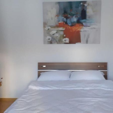 Urban Chic Apartment Orăştie Dış mekan fotoğraf