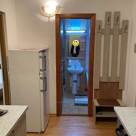 Urban Chic Apartment Orăştie Dış mekan fotoğraf
