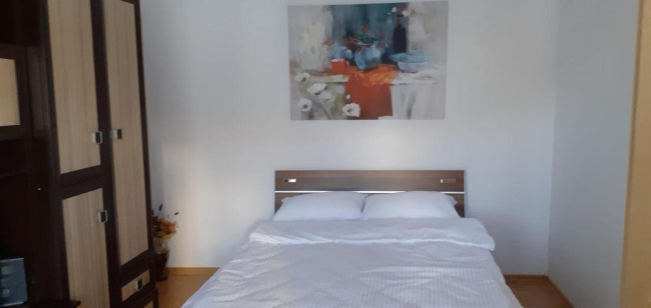 Urban Chic Apartment Orăştie Dış mekan fotoğraf