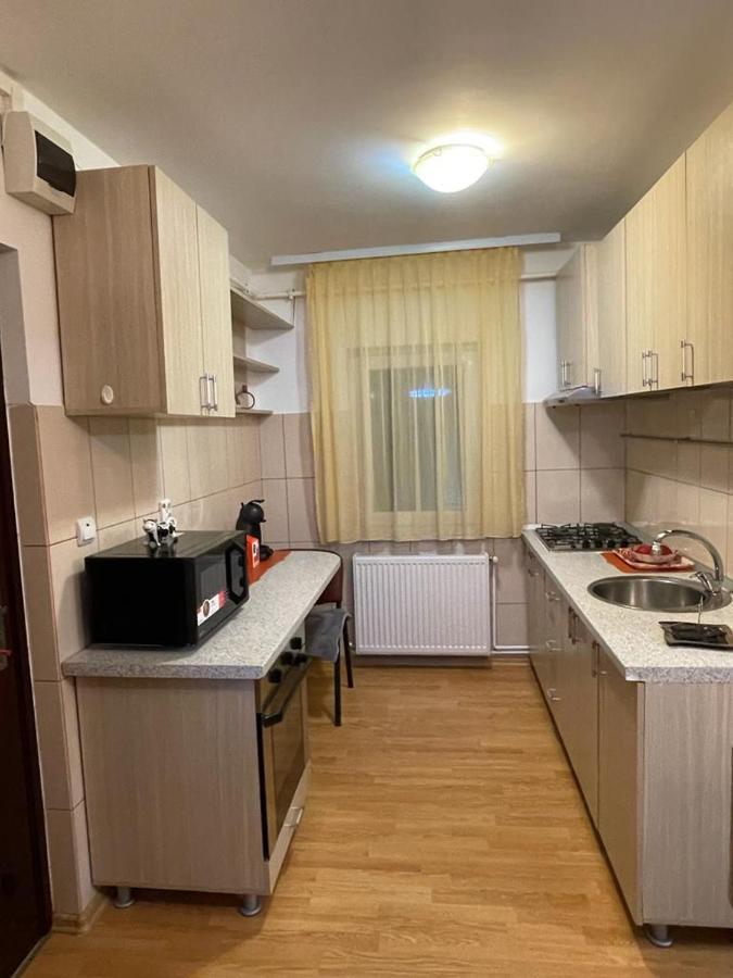 Urban Chic Apartment Orăştie Dış mekan fotoğraf